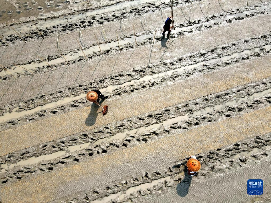 色站综合