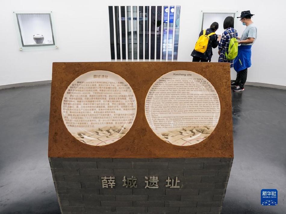 Free国产性白嫩白嫩Xxxx