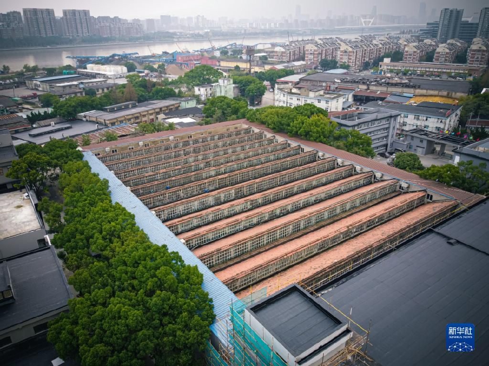 爸爸叫我cod妈妈小新外婆的故事