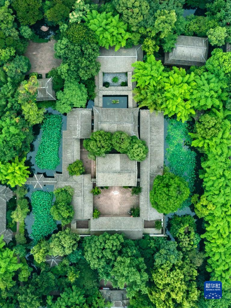 婷婷综合五月