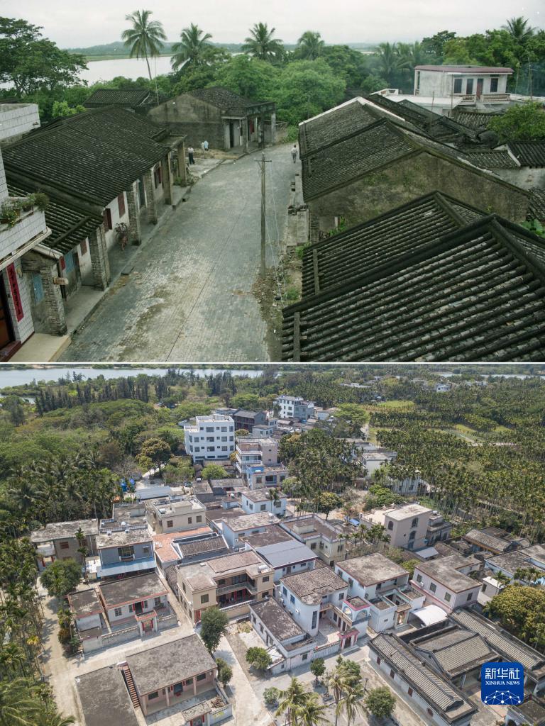 免费 下载 色情 网站