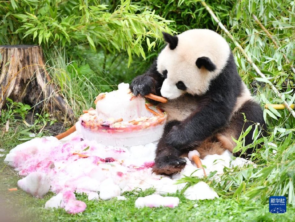 Porno偷拍尿尿