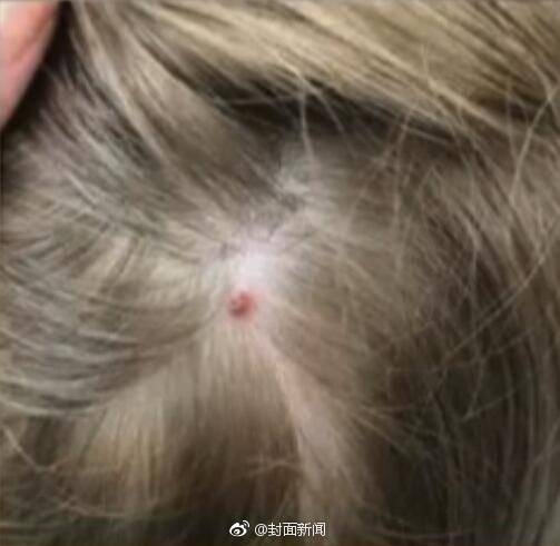 绿 分享娇妻被多P