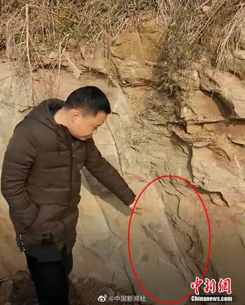 国产黄色虐待三级片