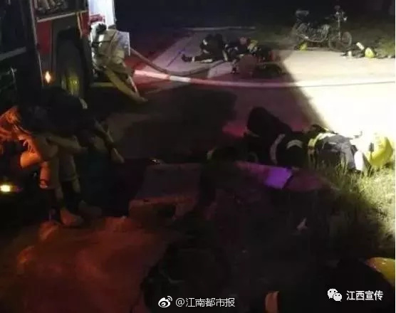 欧美人与牲禽发生性行为的后果