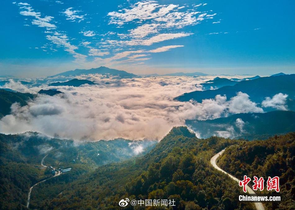 西瓜视频A级艳片在线播放