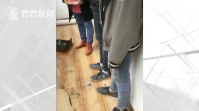 毛片视频网站