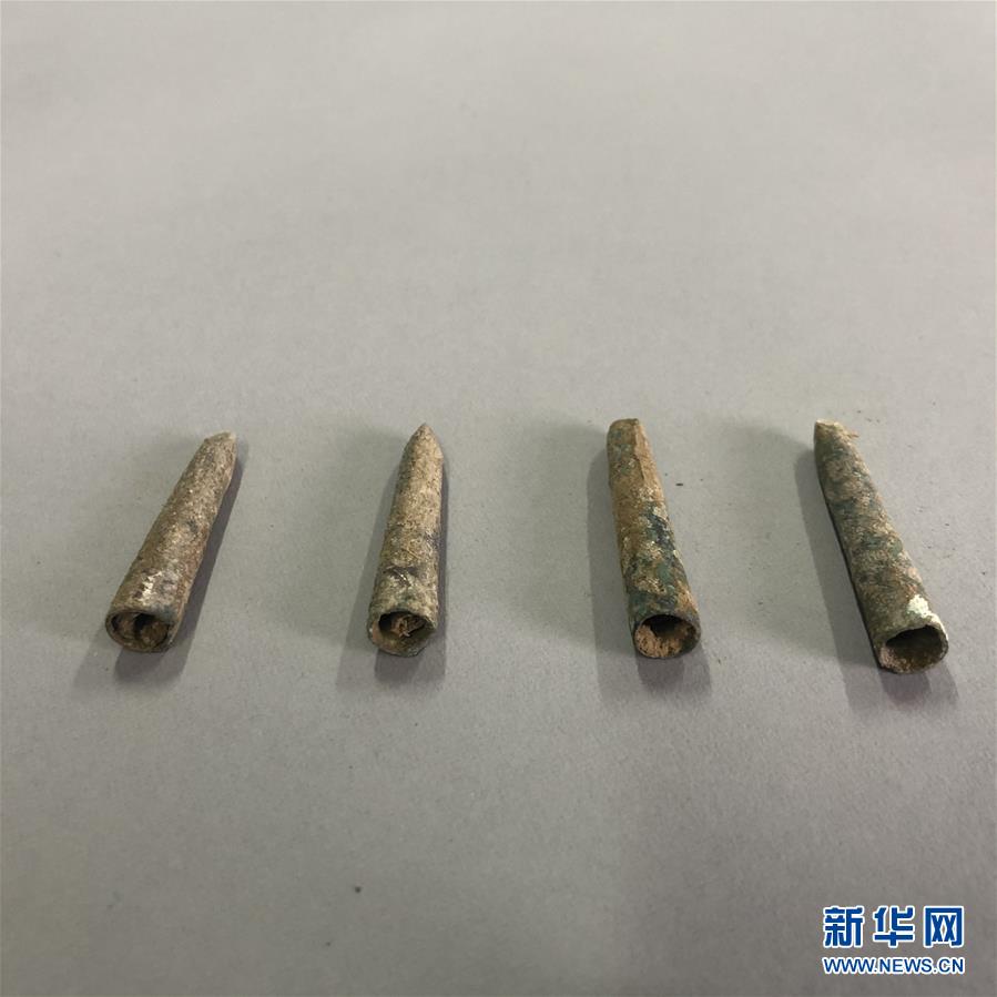 女人与拘做受免费观看