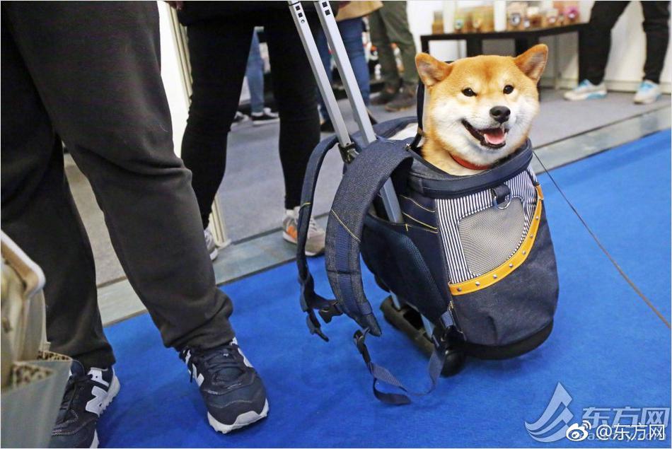 麻宮玲