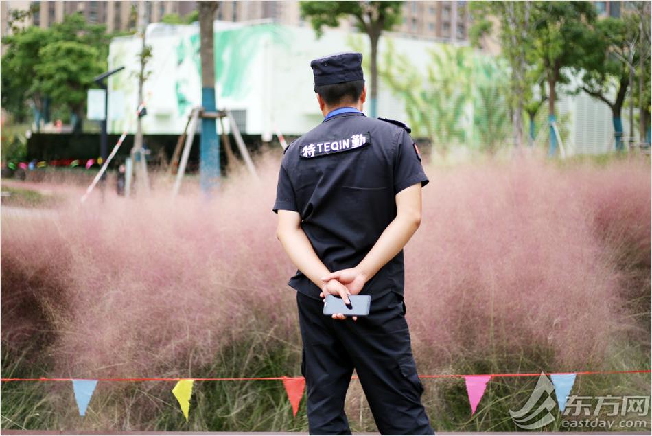 裸体 直播 网站