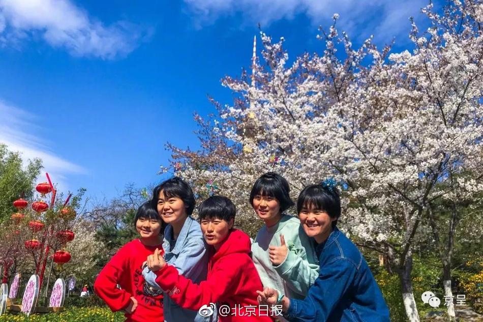 成人 视频 下载 网站