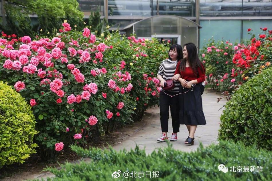 欧洲破处女Free