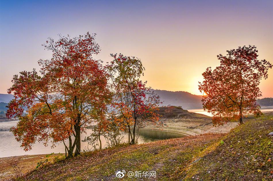 张柏芝自慰全部无打码