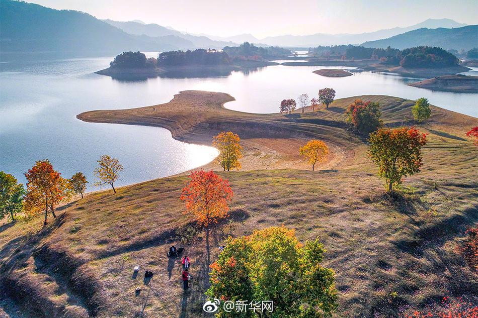 熟骚妇大肥屁股淫乱