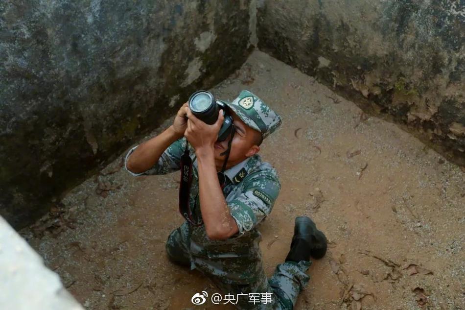 茄子视频污