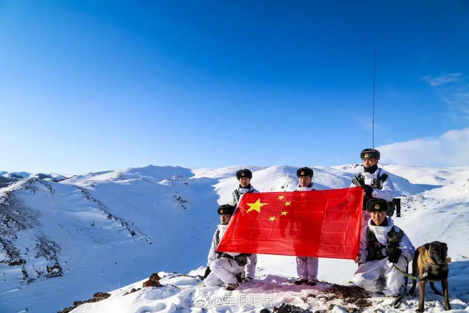 靠逼视频下载