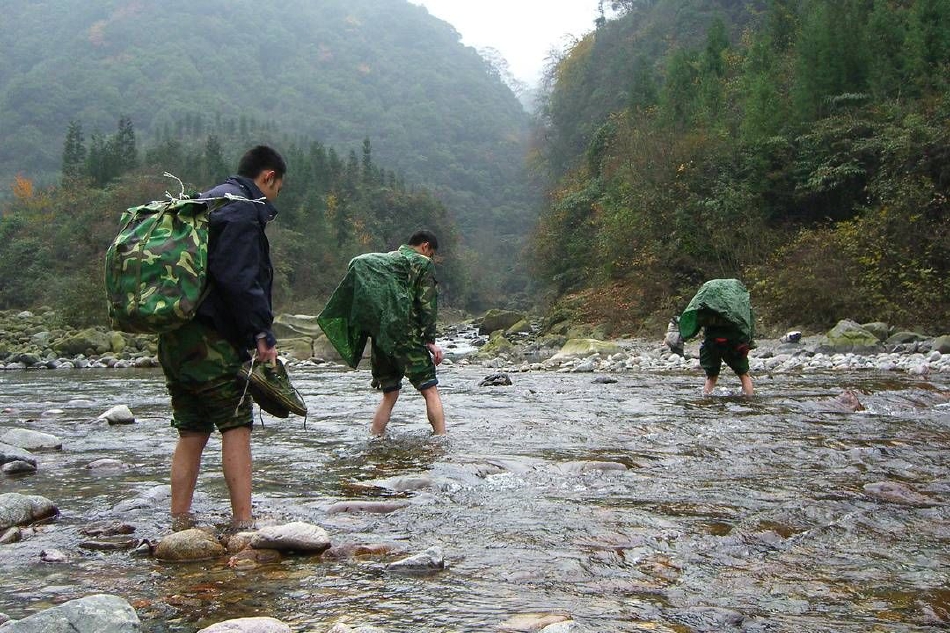 三级电影黄色视频