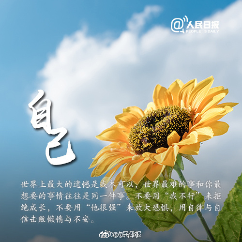 饭岛爱三级片关糸