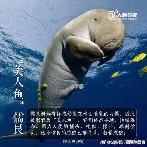 香蕉一区二区