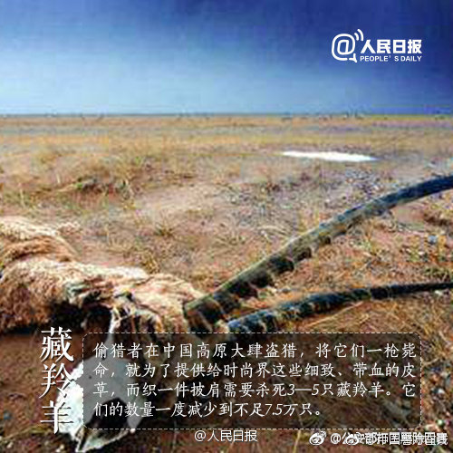 日本免费一区二区三区