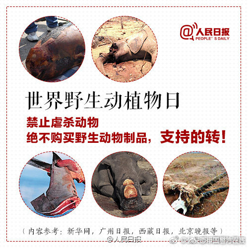 黄色电影 黄色电影