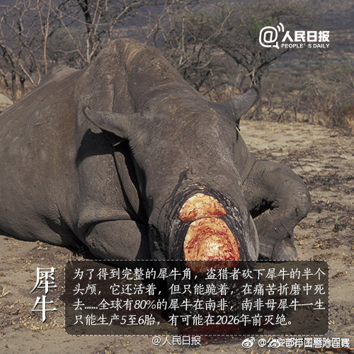 动漫美女裸奶