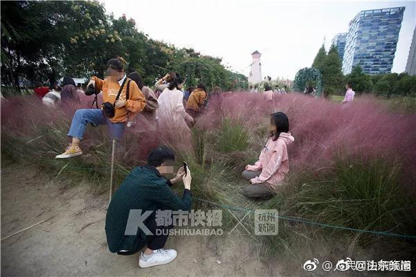 在线无码