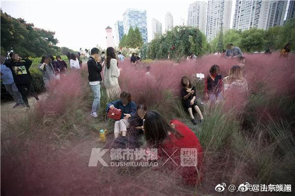 添女人阴蒂高潮视频