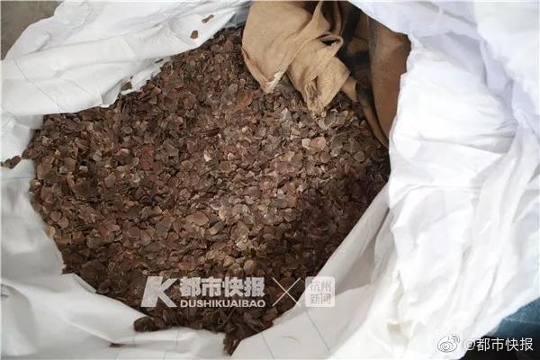 91精品免费视频