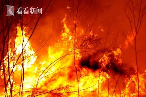 水多多高清全集免费在线观看
