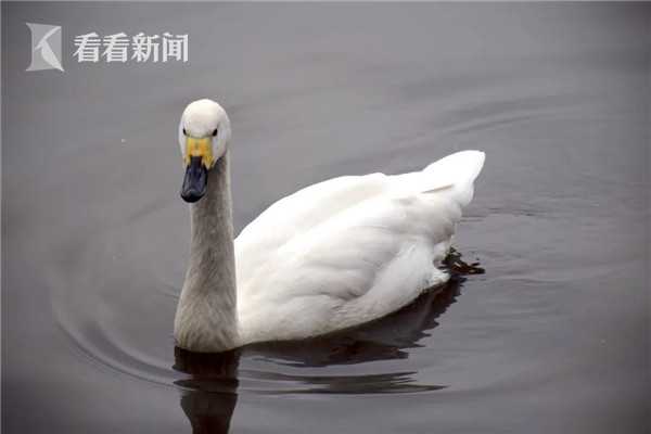 小P-孩-与大-人-A片