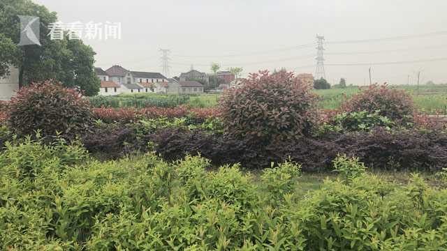 国内Av在线免费观看