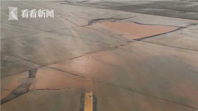 志村玲子