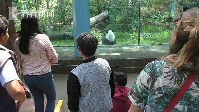 台湾野外艳史片