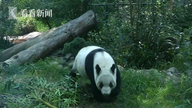 偷窥洗澡
