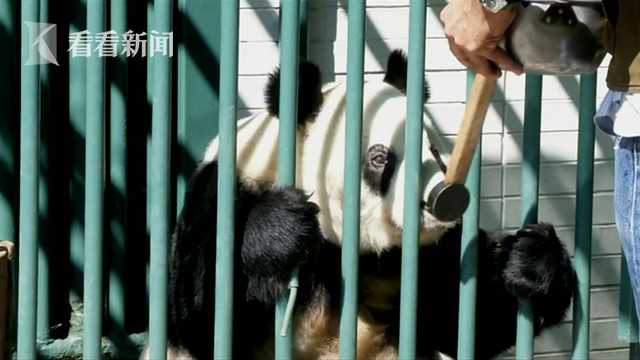 成人 激情 电影