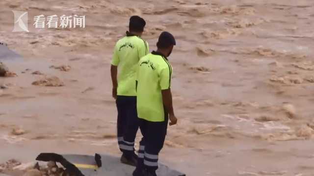 成人 视频 在线 播放