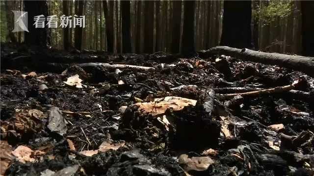 jiizz日本护士老师高潮朝
