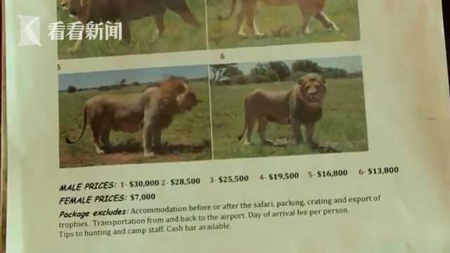 范冰冰的包有被黑人包过吗