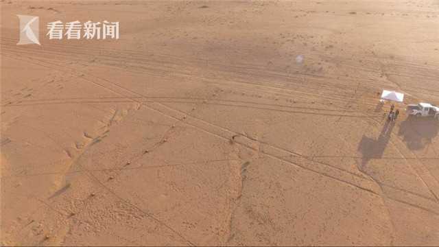 打牌生猴子的视频软件