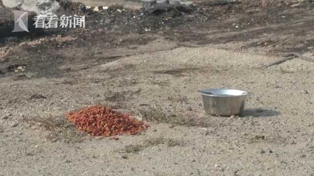 黄色软件下载3.0