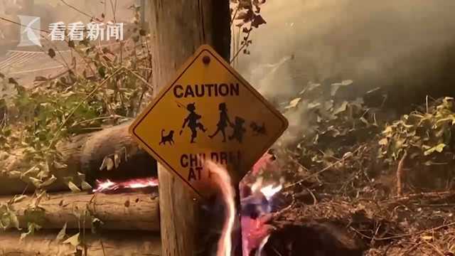 欧美成人福利激情视频一区二区三区