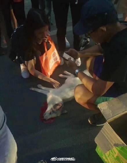 精品成人