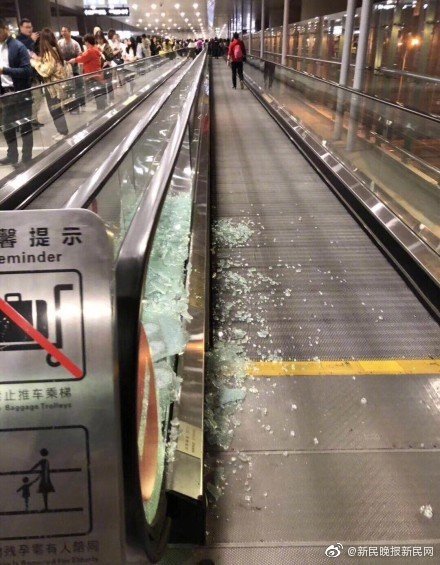 东京热成人版app下载