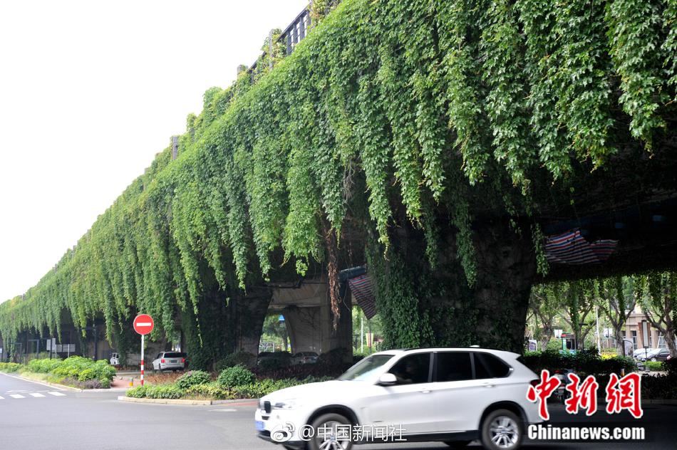 蓬莱仙山杨梵写真大全