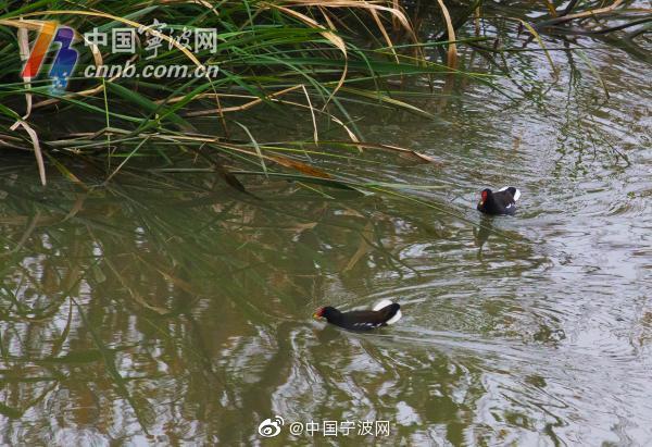 九色PORNYⅠ最新地址