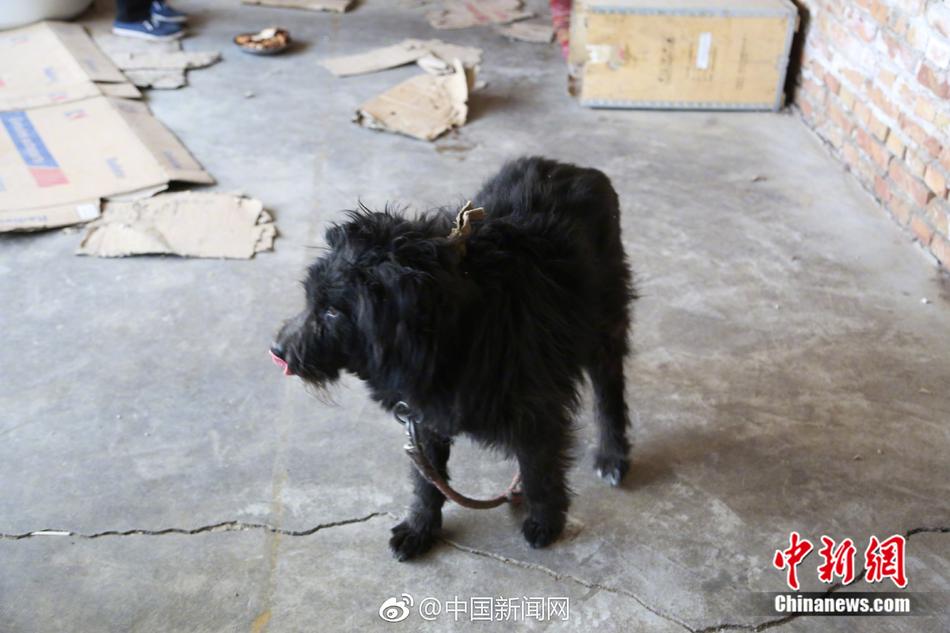 日韩无码毛片