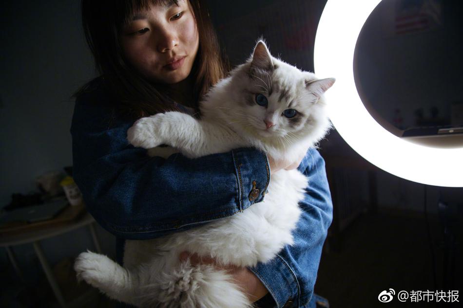 91超碰在线