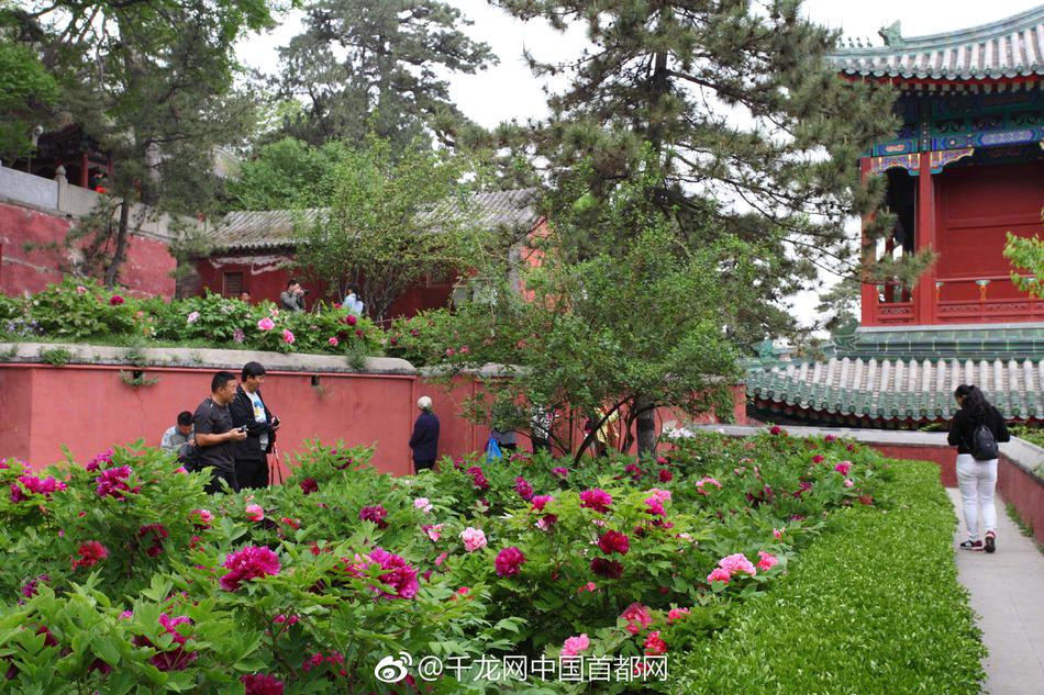 芽森滴