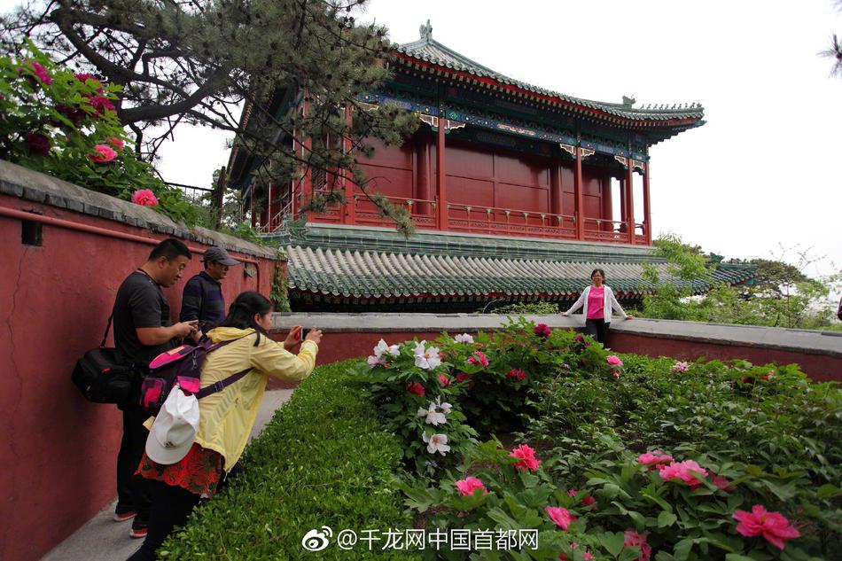 熟女淫秽片